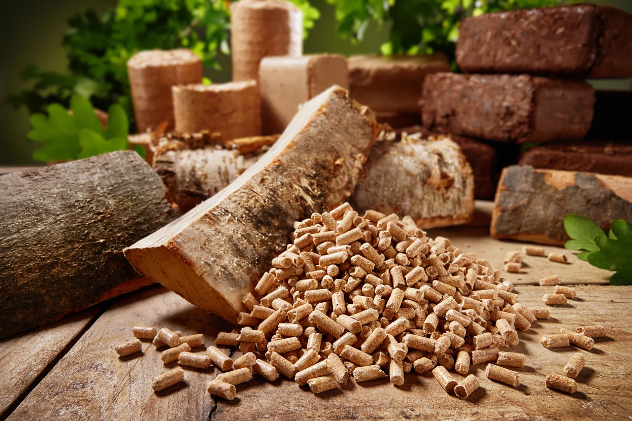 Int&eacute;rieur chaleureux avec po&ecirc;le &agrave; bois en fonctionnement, flammes vives orange et jaunes visibles &agrave; travers la vitre